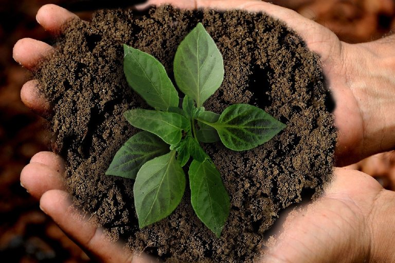 Management per la sostenibilità nell'ecosistema culturale