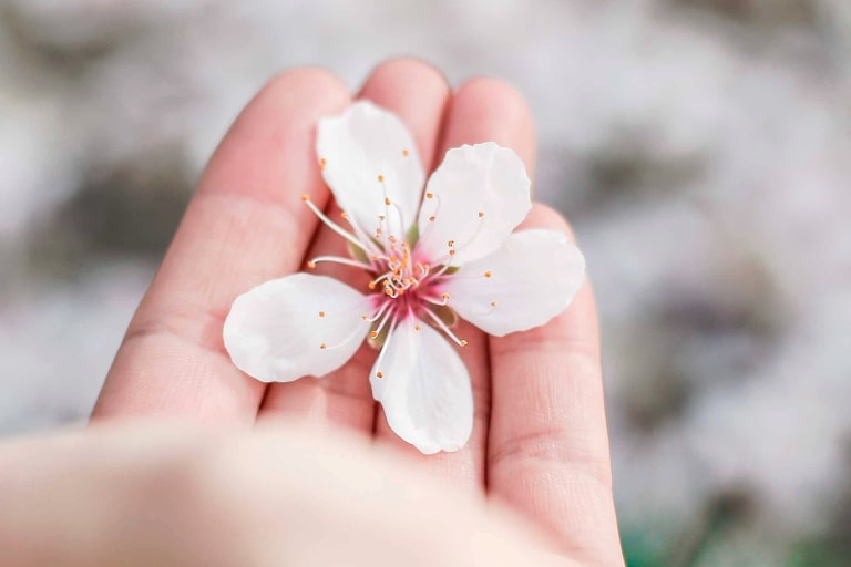 Corso Executive in Direzione e Gestione dei Consultori FeLCeAF