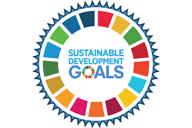 “Localizzare” gli SDGs: una prospettiva manageriale