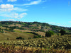03_Recanati.jpg