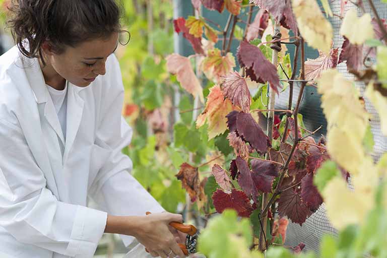 Turismo del vino tra arte, musica e paesaggio